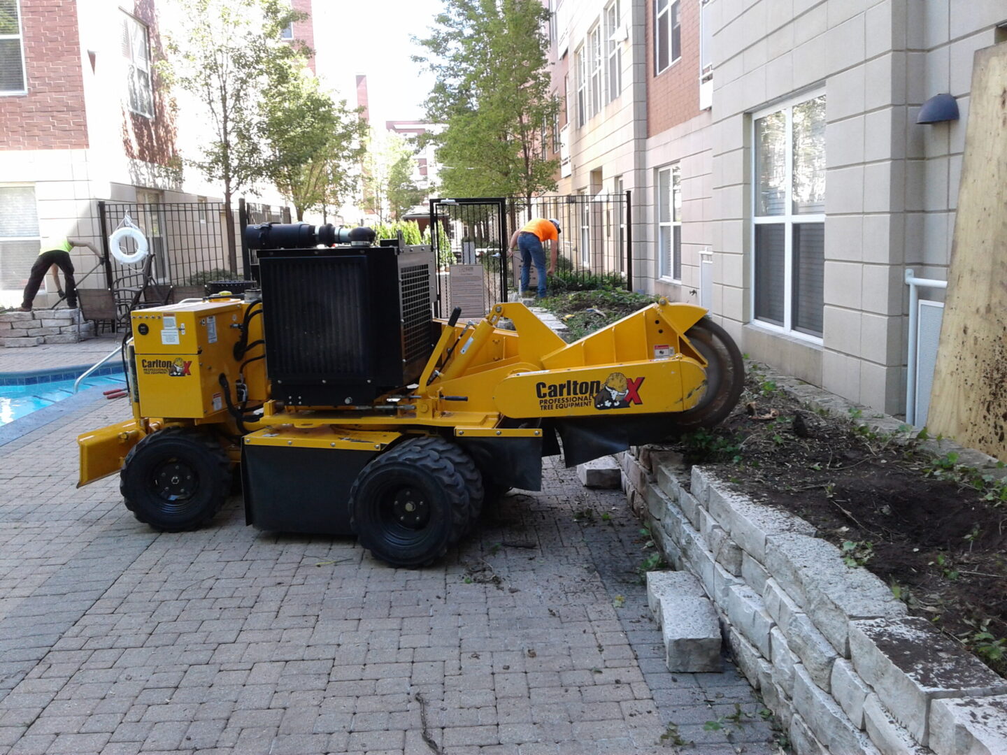 Tree removal equipment being used to clear out landforms