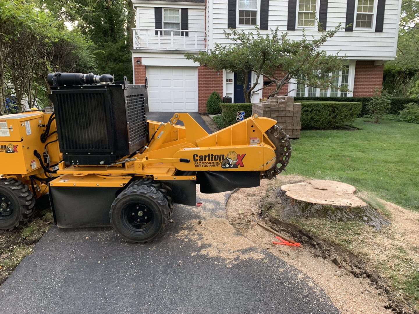 Equipment used to cut off big trees