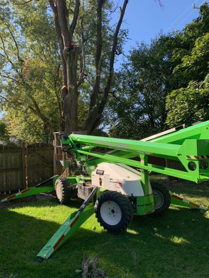 Equipment used for maintaining trees